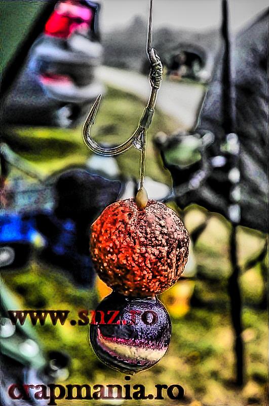 Cupa Iernii 2013 (3) - 1032530hdrmode2.jpg